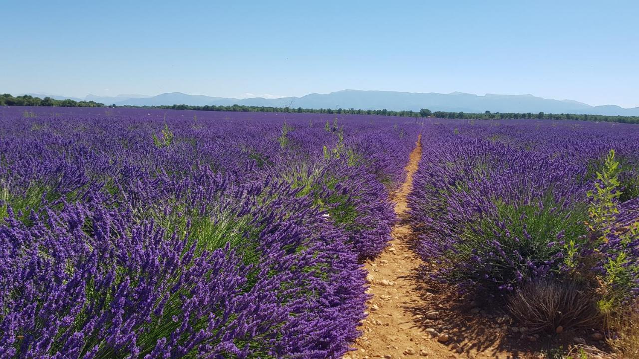 Logement Tout Confort Au Calme Entre Saint Tropez Et Les Gorges Du Verdon ル・トロネ エクステリア 写真